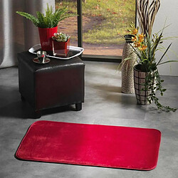 Avis Paris Prix Tapis Uni en Flanelle Flanou 50x80cm Carmin