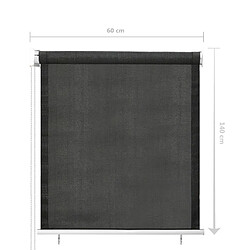 vidaXL Store roulant d'extérieur 60x140 cm Anthracite pas cher