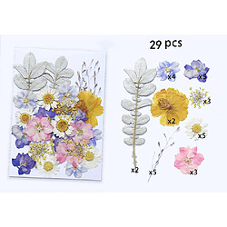 1 Sac Pressé Mixte Fleurs Séchées Naturelles 29pcs Fleurs Séchées