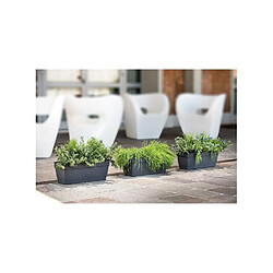 Avis DEROMA Jardiniere Ninféa a réserve d'eau - 60 x 17,6 x H 17,4 cm - 13 L - Gris anthracite