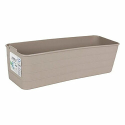 Organisateur Confortime Jano 27 x 9 x 7,5 cm (36 Unités) (27 x 9 x 7,5 cm)