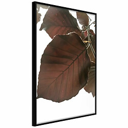 Paris Prix Affiche Murale Encadrée Burgundy Tilia Leaf 20 x 30 cm Noir