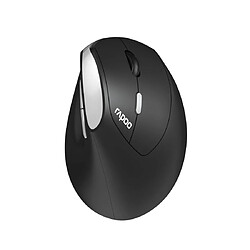 Rapoo Kabellose ergonomische Maus EV250, Schwarz Einstellbarer Sensor mit 1600 DPI pas cher