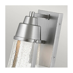 Elstead Lighting Applique murale extérieur Hinkley Verre à graines transparent,composite résistant aux intempéries, Nickel satiné peint