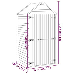 vidaXL Abri à outils avec porte 107x107x220 cm Bois de pin imprégné pas cher