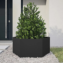 vidaXL Jardinière noir hexagone 104x90x45 cm acier