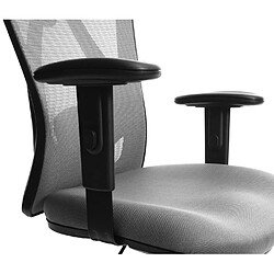 Avis Decoshop26 Fautuil de bureau avec support lombaire ergonomique réglable en hauteur en maille gris 04_0006213