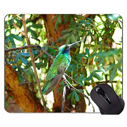 Universal (220x180x3) Rectangle personnalisé Mouspade en caoutchouc sans glissement, colibri, oiseau, tapis de souris chatoyant