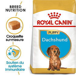 Royal Canin Race Dachshund-Teckel Junior