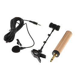 Microphone Sans Fil MIC 6,5 Mm Avec Clip Pour Flûte Erhu, Etc.