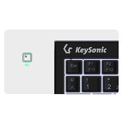 Acheter KeySonic KSK-3211ELU (DE) keyboard