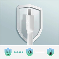 Avis Câble USB vers USB-C Belkin Blanc 1m