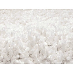 Avis Vente-Unique Tapis shaggy berbère - 120 x 170 cm - Blanc et doré - PRYSMI