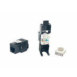 Adaptateur Equip Keystone Jack Cat6 Utp Toolfree 8 Uni