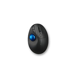 Kensington Pro Fit Ergo TB450 mouse