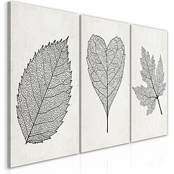 Artgeist Tableau - Minimalist Leaves (3 Parts) [120x60]