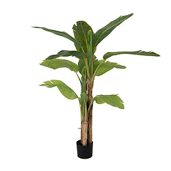 BigBuy Home Plante décorative Caoutchouc 90 X 90 X 125 CM