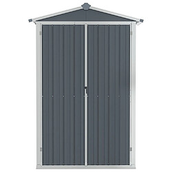 Helloshop26 Abri de jardin cabane cabanon maison de stockage remise extérieur hangar outils robuste 116 x 45 x 175 cm acier galvanisé gris 02_0022227