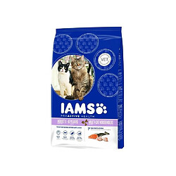 Iams Chien IAMS Croquettes Multicat - 15kg - Pour chat adulte et senior