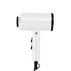 Acheter Universal 1500W Professionnel Portable Mini Sèche-cheveux Sèche-cheveux Brossette Professionnelle Sèche-cheveux Sèche-cheveux Voyage | Sèche-cheveux (Blanc)