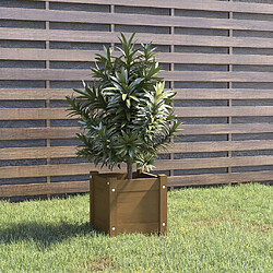 vidaXL Jardinière extérieur Marron miel 31x31x31 cm Bois de pin massif