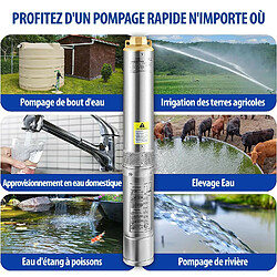 Acheter Pompe Immergée pour Puits 190 L /min 57 m Pompe à Eau pour Puits Profond en Acier Inox, Électrique 1100 W Submersible Automatique