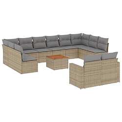 vidaXL Salon de jardin et coussins 13 pcs mélange beige résine tressée