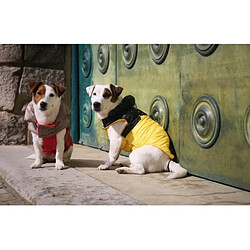 Acheter Les Animaux De La Fee Manteau Life jaune Taille 22XS