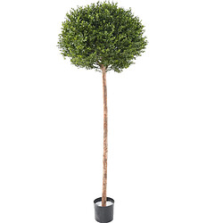 Pegane Plante artificielle haute gamme Spécial extérieur / Buis Artificiel coloris vert - Dim : 170 x 62 x 62 cm