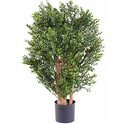 Pegane Plante artificielle haute gamme Spécial extérieur / BUIS Artificiel Buisson UV - Dim : 70 x 50 cm