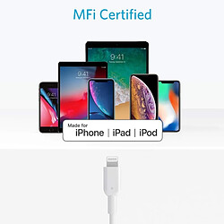 Acheter Wewoo Câble II de données chargement certifié MFI USB-C / Type-C à Lightning 8 broches pour iPhone XS Max / XS / XR / X / 8 Plus / 8, longueur: 0,9 m (blanc)