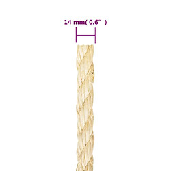 Acheter vidaXL Corde 100 % sisal 14 mm 25 m