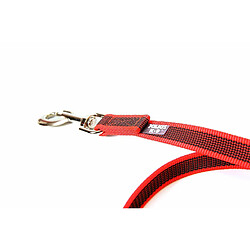 Avis Couleur et Gris Julius-K9 Super-Grip Laisse avec poignée, 20 mm x 5 m, Rouge/Gris