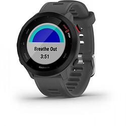 Montre GARMIN Forerunner 55 - connectée GPS - Grise Monterra