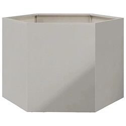 vidaXL Jardinière hexagone 69x60x45 cm acier inoxydable