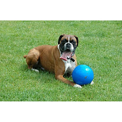 Company of Animals Jouet Chien Boomer Ball 20 cm