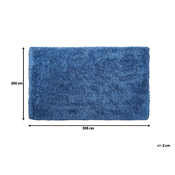 Beliani Tapis bleu 200 x 300 cm CIDE