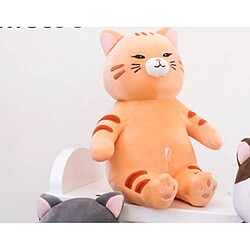 Universal Poupée de chat de 9 pouces oreiller peluche animal chat coussin mignon peluche douce pour les enfants bébé cadeau d'anniversaire | Peluche animaux peluches pas cher