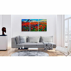 Paris Prix Tableau Imprimé Valley of Poppies 30 x 60 cm