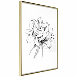 Paris Prix Affiche Murale Encadrée Sketch of Lillies 20 x 30 cm Or