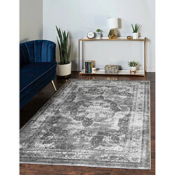 Hadorn Tapis 244x152 gris Monaco