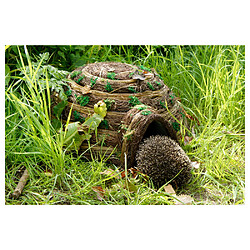 Avis Wildlife World Wildlife - Igloo Home Herisson