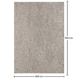 ICONIK INTERIOR Tapis - (290x200 cm) - Taci Beige