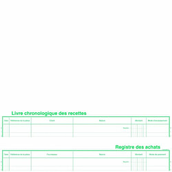 Exacompta 4410E Livre Recettes-Registre Achats pour Auto entreteneur Format 24x32 80 Pages