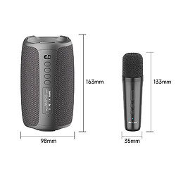 Avis Yonis Enceinte Bluetooth Karaoke Sans Fil Puissante