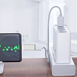 Avizar Adaptateur OTG USB Femelle vers USB-C Mâle Synchronisation Compact Argenté pas cher