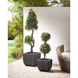 Beliani Lot de 2 pots de fleurs BERBERIS Polyrotin Noir