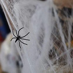 Acheter Universal Des toiles d'araignées gigantesques, des décors - Halloween