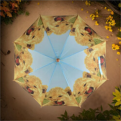 Acheter Kids In The Garden Parapluie enfant out of Africa Lionceau