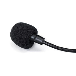 Microphone de chant